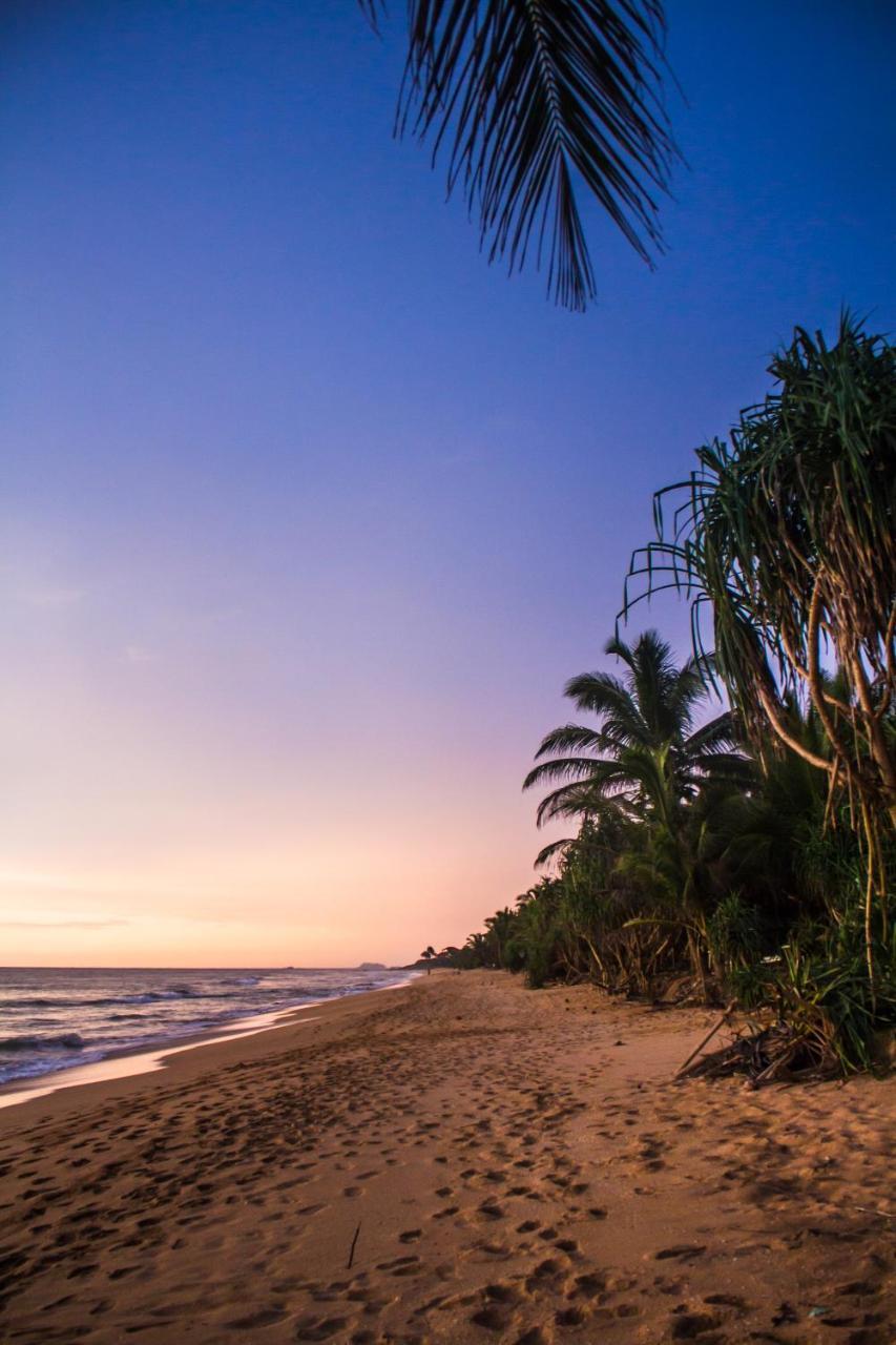 Serendib Beach Hotel Bentota Esterno foto